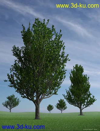 3D打印模型Maple Trees的图片