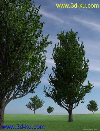 3D打印模型Maple Trees的图片