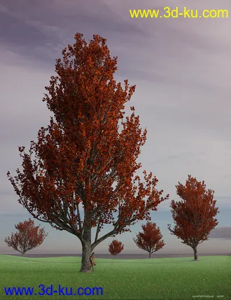 3D打印模型Maple Trees的图片