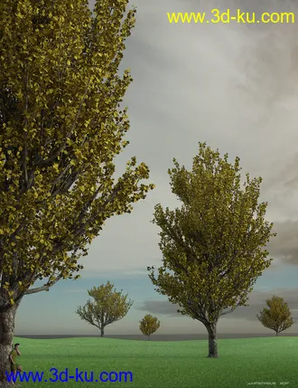 3D打印模型Maple Trees的图片