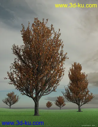 3D打印模型Maple Trees的图片