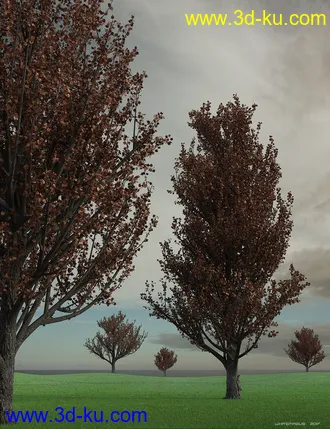 3D打印模型Maple Trees的图片