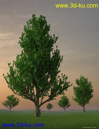 3D打印模型Maple Trees的图片
