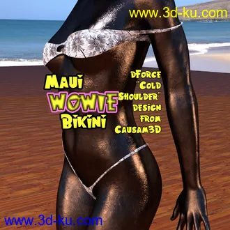 3D打印模型Maui Wowie Bikini for Genesis 8.X Females的图片