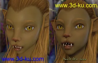 3D打印模型Meong and Tabby for Genesis 8 Female的图片