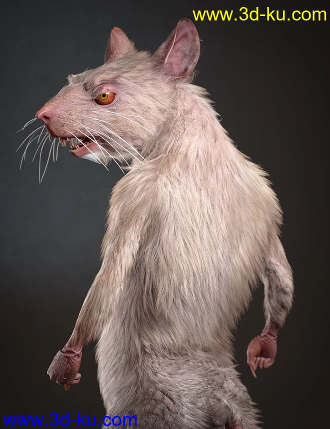 Mouse King for Genesis 8.1 Males模型的图片5