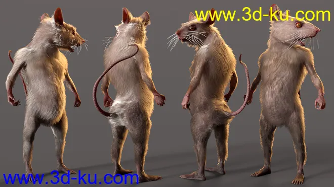 Mouse King for Genesis 8.1 Males模型的图片8