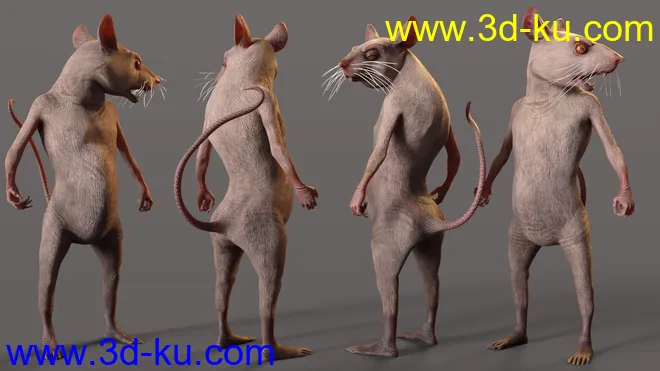Mouse King for Genesis 8.1 Males模型的图片9