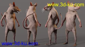 3D打印模型Mouse King for Genesis 8.1 Males的图片