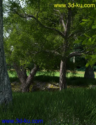 3D打印模型My Tree Pack的图片