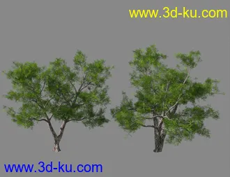 3D打印模型My Tree Pack的图片