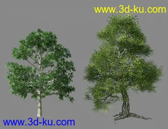 3D打印模型My Tree Pack的图片