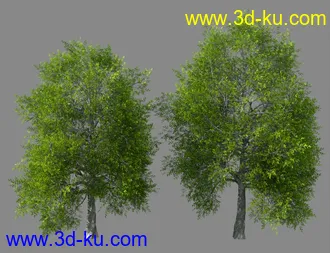3D打印模型My Tree Pack的图片