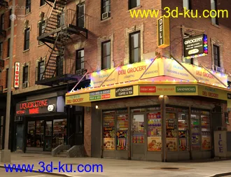 3D打印模型New York Bodega Liquor Store的图片