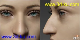 3D打印模型Nose Morphs for G8F Vol 1的图片