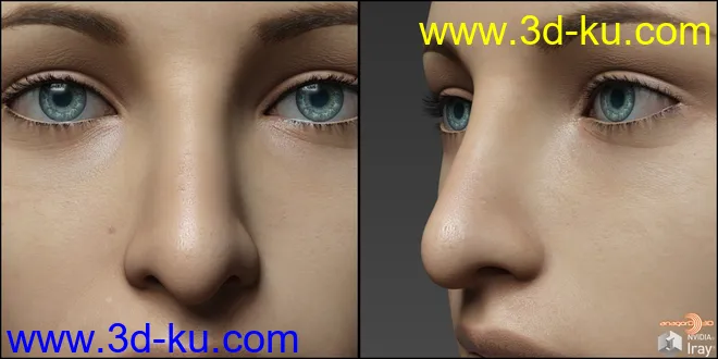 Nose Morphs for G8F Vol 2模型的图片1