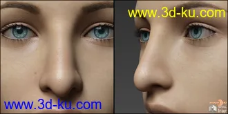 3D打印模型Nose Morphs for G8F Vol 2的图片