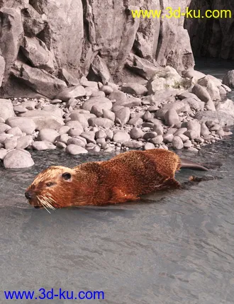 3D打印模型On the River of the Flow Poses for the Beaver for Genesis 8.1 Male的图片