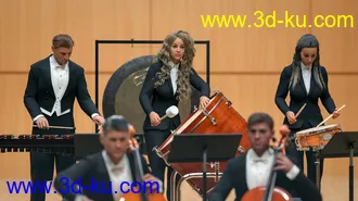3D打印模型Orchestral Percussion的图片