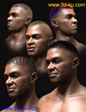 3D打印模型Pattern Shaved Head Hair for Genesis 8 Males的图片