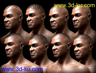 3D打印模型Pattern Shaved Head Hair for Genesis 8 Males的图片