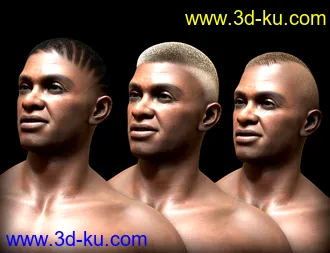 3D打印模型Pattern Shaved Head Hair for Genesis 8 Males的图片