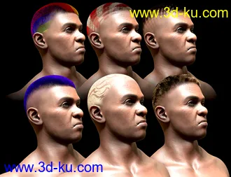 3D打印模型Pattern Shaved Head Hair for Genesis 8 Males的图片