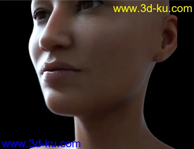 Photorealism for Characters模型的图片4