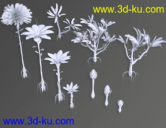 3D打印模型Planet Gaya的图片