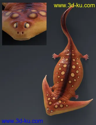 3D打印模型Prehistoric Amphibian Diplocaulus and Dragonfly Prey的图片