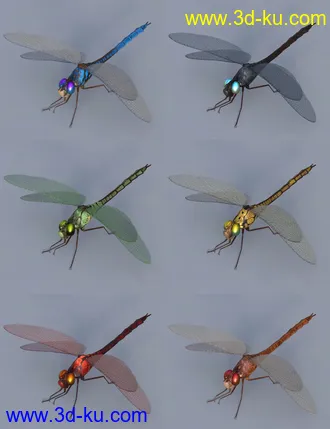 3D打印模型Prehistoric Amphibian Diplocaulus and Dragonfly Prey的图片