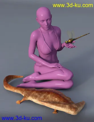 3D打印模型Prehistoric Amphibian Diplocaulus and Dragonfly Prey的图片