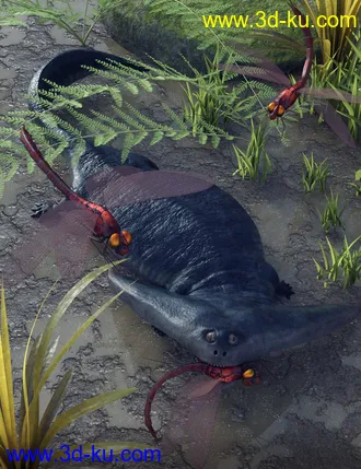 3D打印模型Prehistoric Amphibian Diplocaulus and Dragonfly Prey的图片