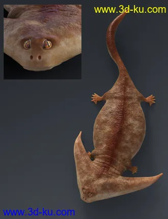3D打印模型Prehistoric Amphibian Diplocaulus and Dragonfly Prey的图片