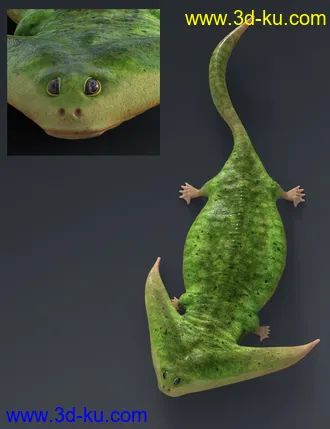 3D打印模型Prehistoric Amphibian Diplocaulus and Dragonfly Prey的图片