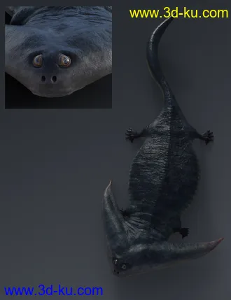 3D打印模型Prehistoric Amphibian Diplocaulus and Dragonfly Prey的图片