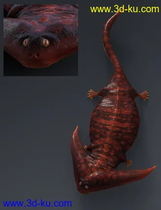 3D打印模型Prehistoric Amphibian Diplocaulus and Dragonfly Prey的图片