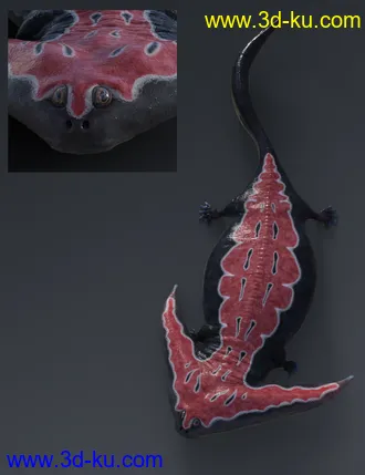 3D打印模型Prehistoric Amphibian Diplocaulus and Dragonfly Prey的图片