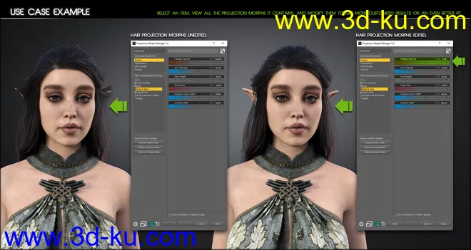 Projection Morph Manager模型的图片6