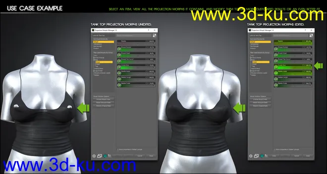 Projection Morph Manager模型的图片7