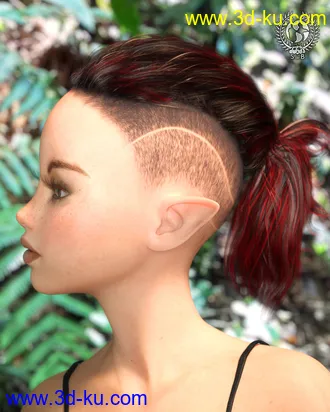 3D打印模型Shaved Side Hair for Genesis 3 and 8 Female(s)的图片