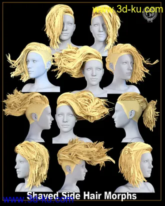 3D打印模型Shaved Side Hair for Genesis 3 and 8 Female(s)的图片