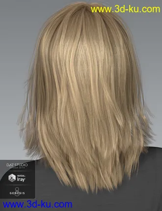 3D打印模型Shiloh Hair for Genesis 3 and 8 Female(s)的图片