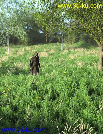 3D打印模型Simple Grasslands Expanse的图片