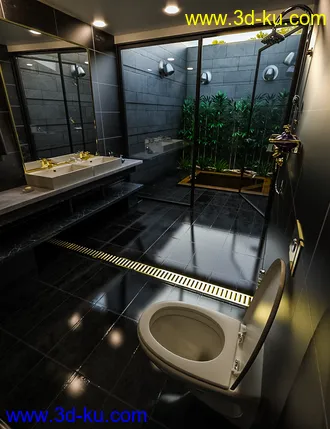 3D打印模型Skylight Bath的图片