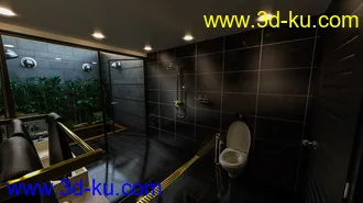 3D打印模型Skylight Bath的图片