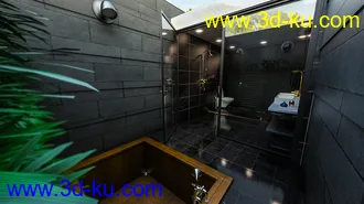 3D打印模型Skylight Bath的图片
