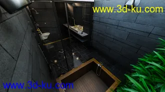 3D打印模型Skylight Bath的图片
