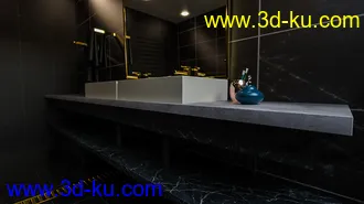 3D打印模型Skylight Bath的图片