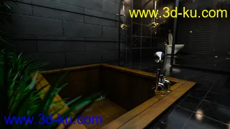 3D打印模型Skylight Bath的图片